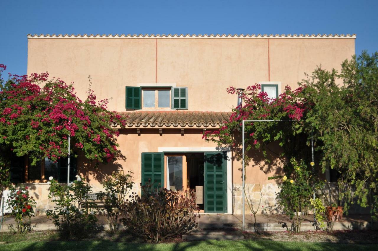Finca Holisa
