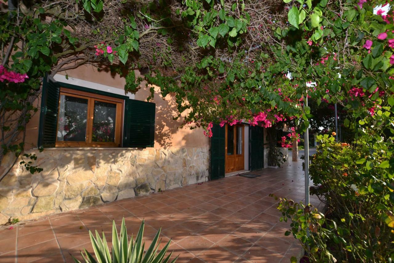 Finca Holisa * Muro